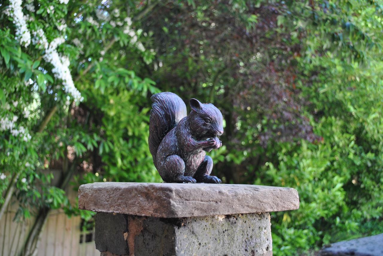 Squirrel Barn Villa Milwich Exteriör bild
